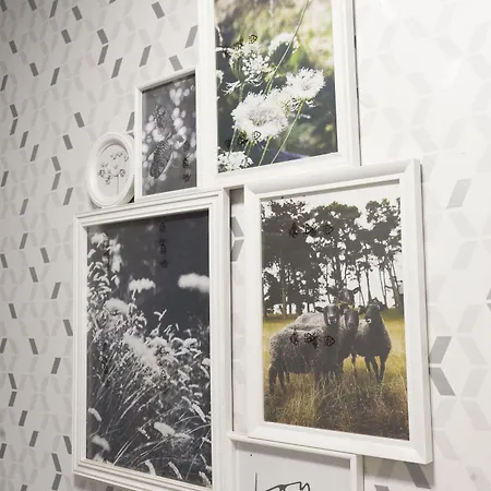 Costa Star Light 马尔韦利亚