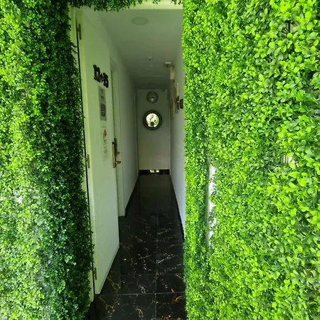 Costa Star Light * ماربيا