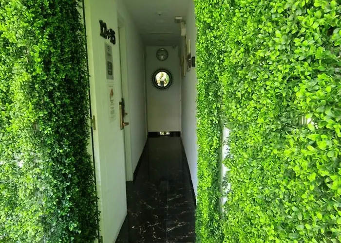 Costa Star Light * Marbella